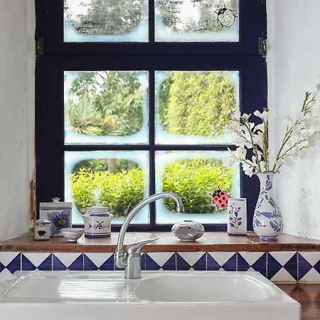 Quinta Das Flores Летний дом Капелаш