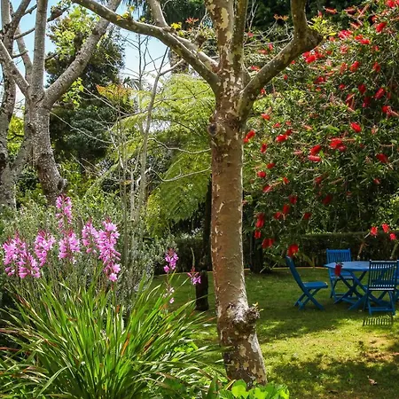 Летний дом Quinta Das Flores