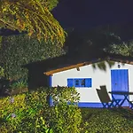 Quinta Flores *