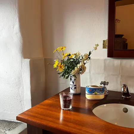 Quinta Flores Country house Capelas (Sao Miguel)