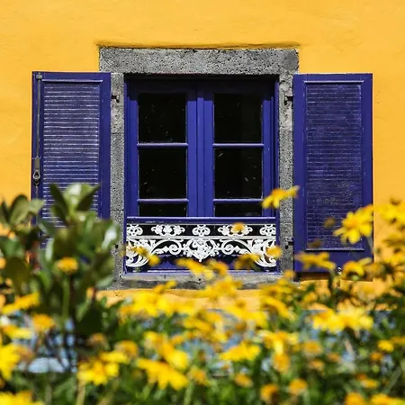 Летний дом Quinta Das Flores *